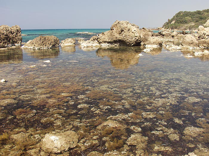 Подводная клумба Подводная клумба