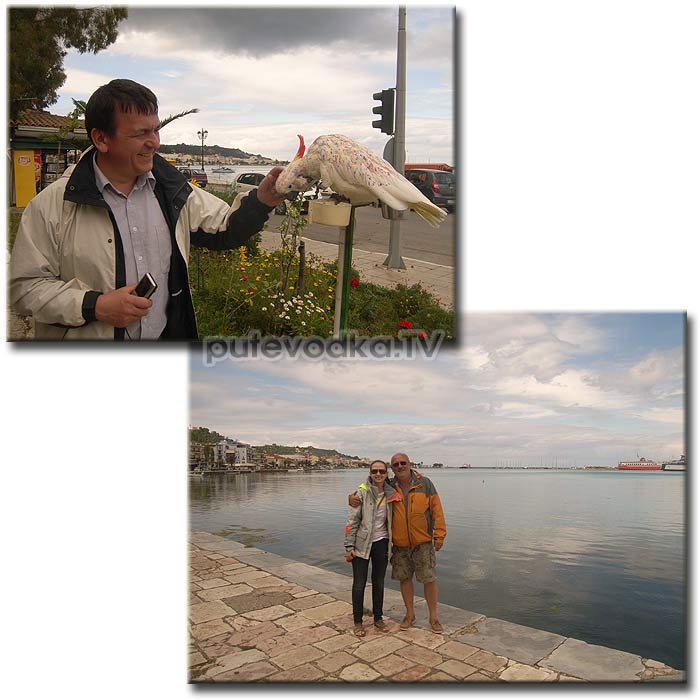 �������� (Zante)