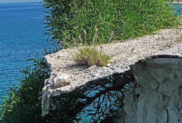 ������. ���������� ����. ������ �������� (Zakynthos). ��������� ��� ������������ �����.