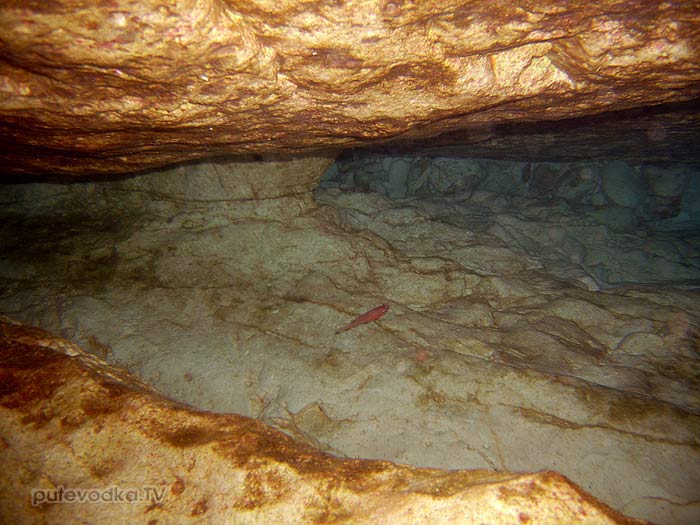   (Zante).   (Blue caves).