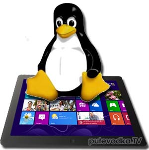 Linux vs Windows