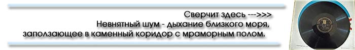 Ночное средиземноморское сверчение Ночное средиземноморское сверчение