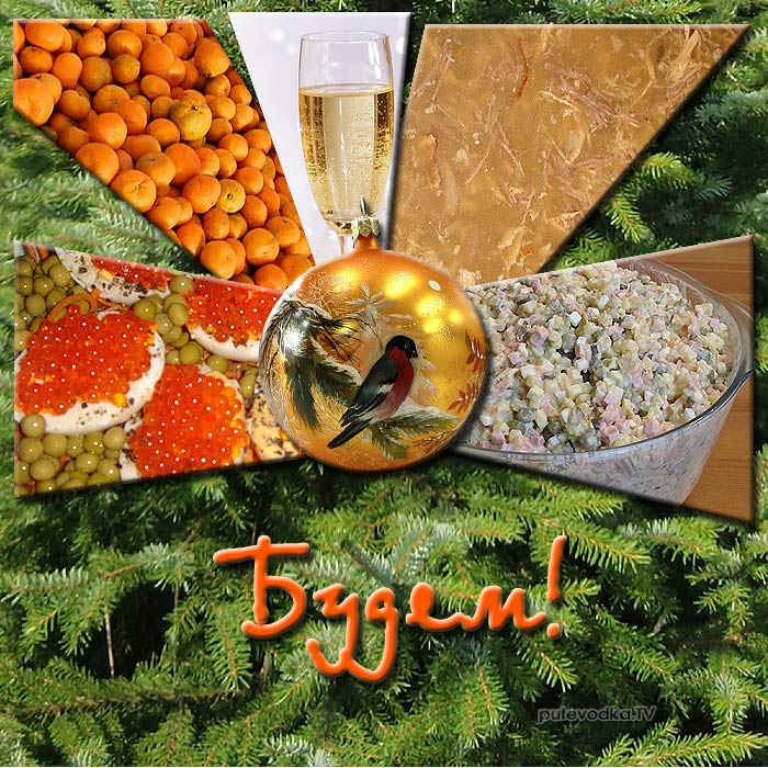 � ����� 2013 �����!
