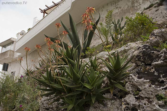  . . - .     (Santa Maria di Leuca). .