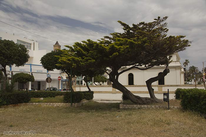  . . - .     (Santa Maria di Leuca). .