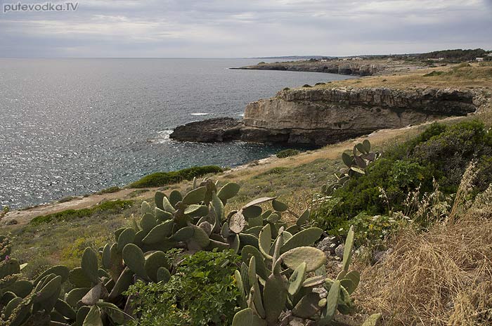  . . - .     (Santa Maria di Leuca). .