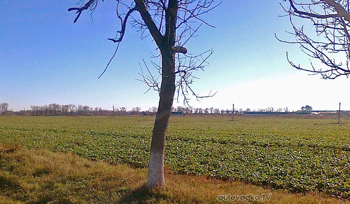 Россия. Ставрополь — Армавир. Россия. Ставрополь — Армавир.