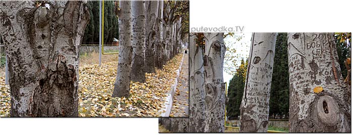 Крым. Алушта. Осень 2014. Крым. Алушта. Осень 2014.