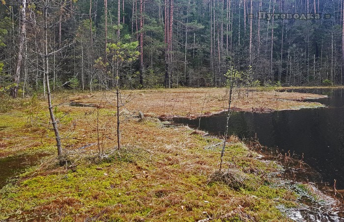 ����������. ������� ����. ���������. �����-2024.